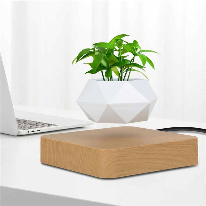 FloatPot Levitating Plant Pot